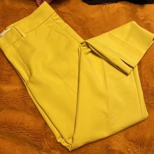 ☀️LAST CHANCE!! Zara Citron Straight Leg Trouser